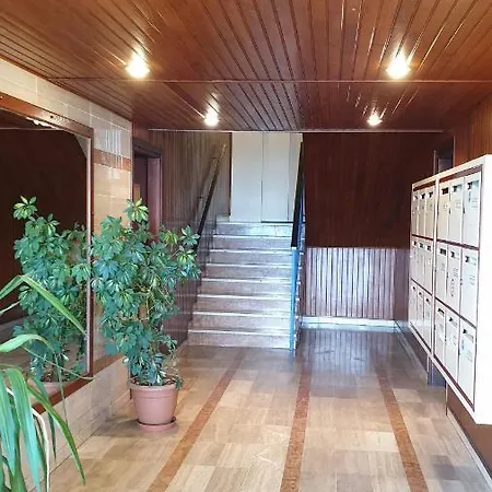 3 Vue *